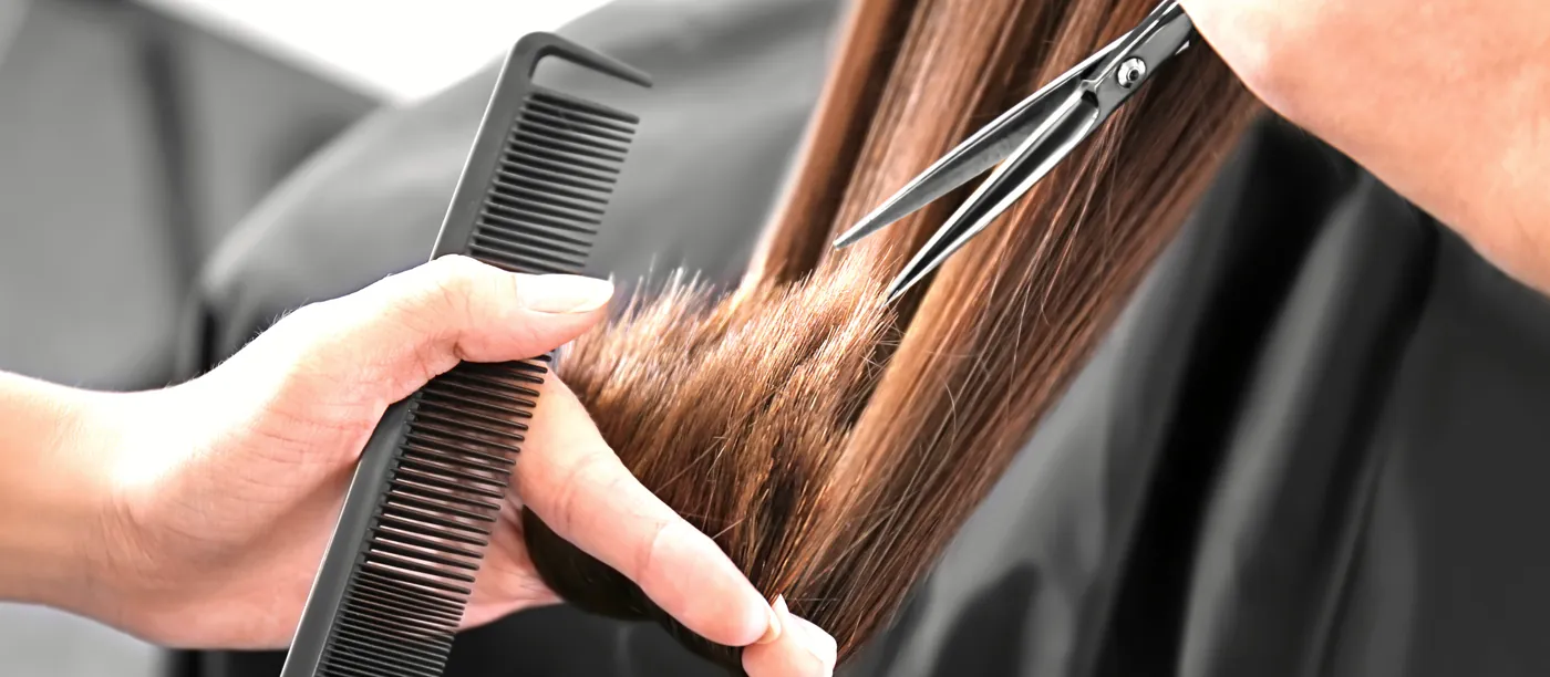 Close-up of a stylist's hands holding a comb and scissors against a section of hair.