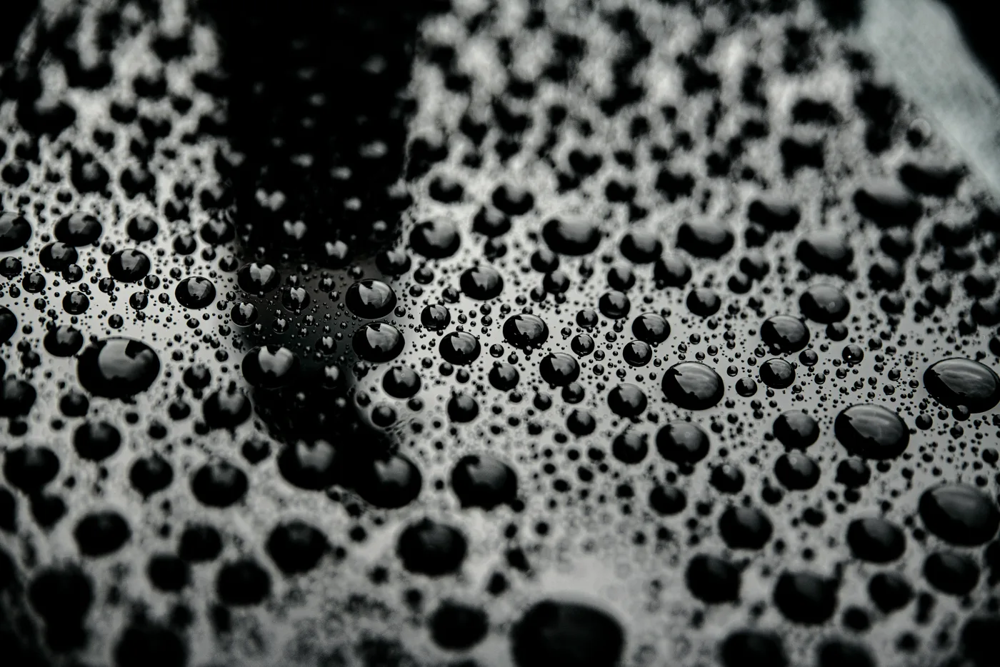 Water beading on protected black paintwork