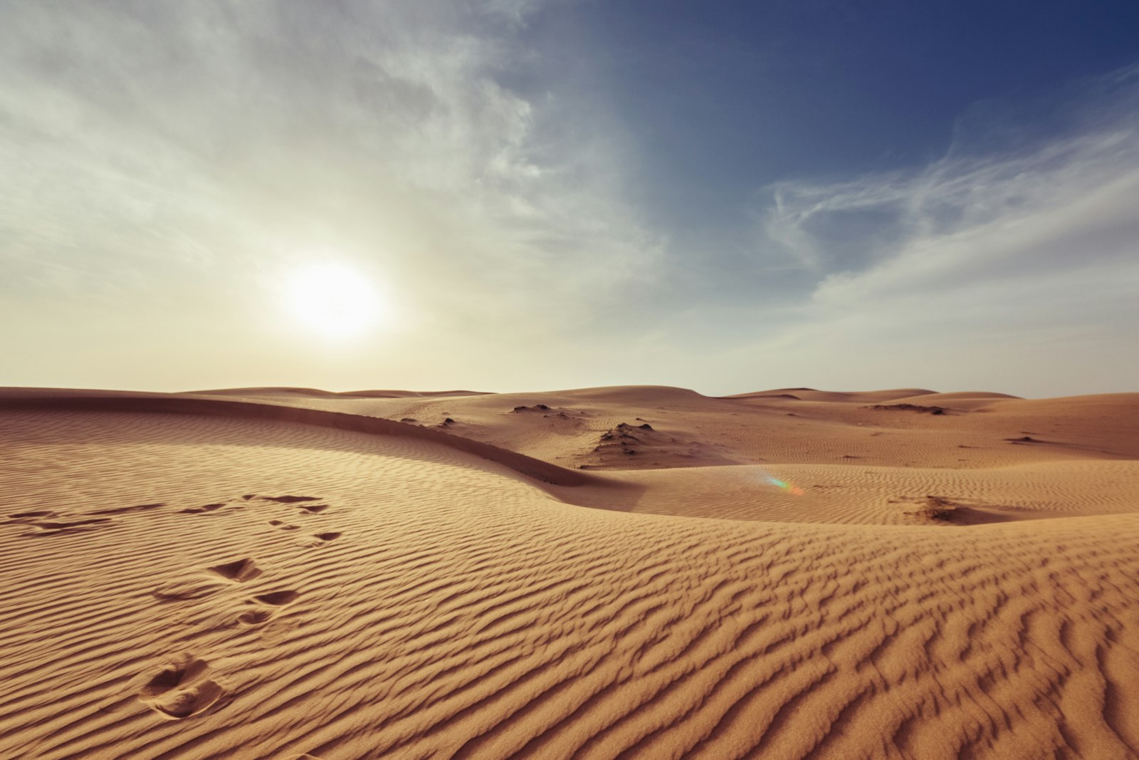 Harsh desert light with almost no midtones.