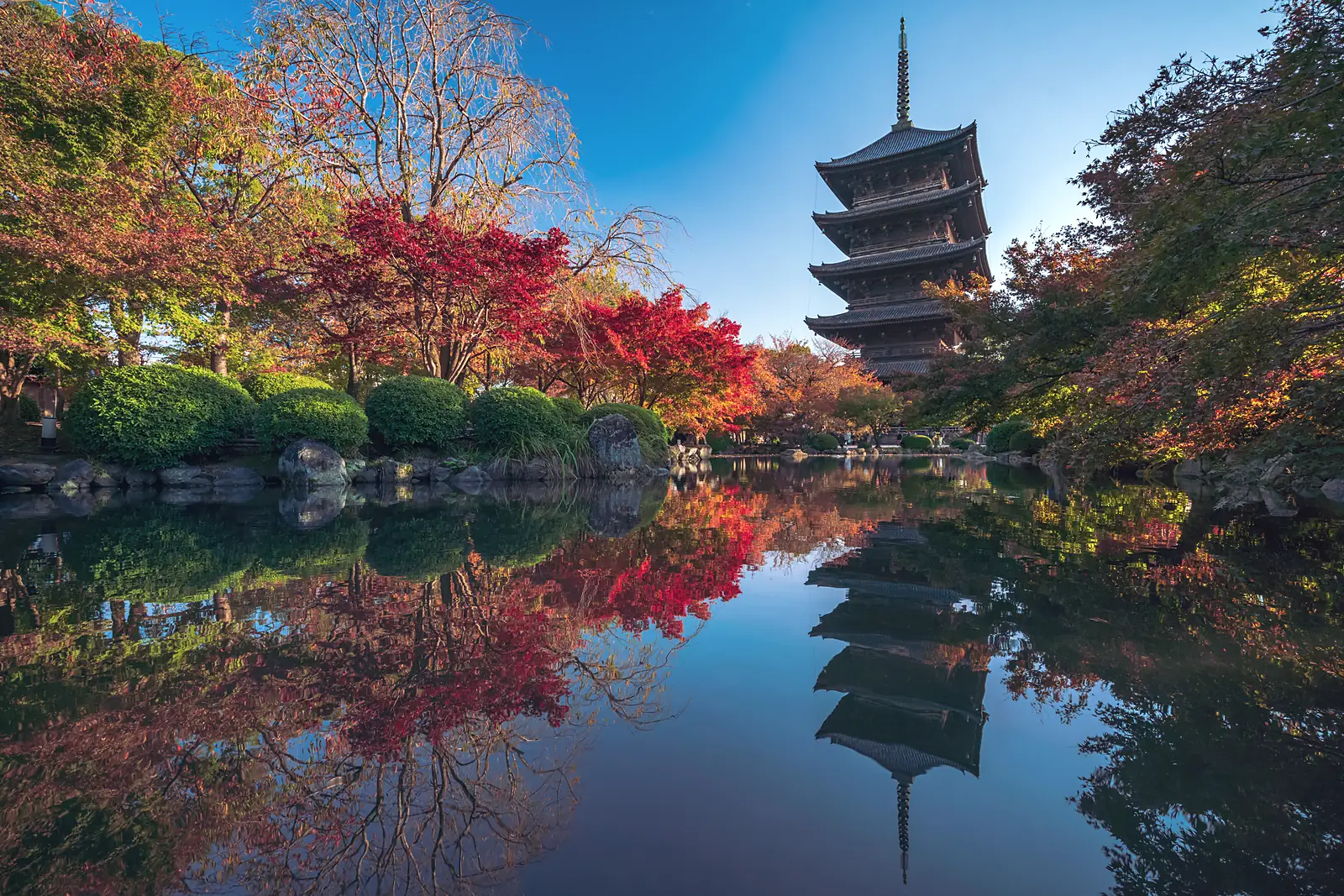 To-ji pagoda reflected in a pond among autumn maples