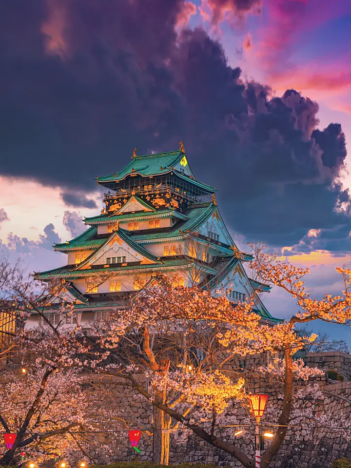 Osaka Castle above cherry blossom at dusk